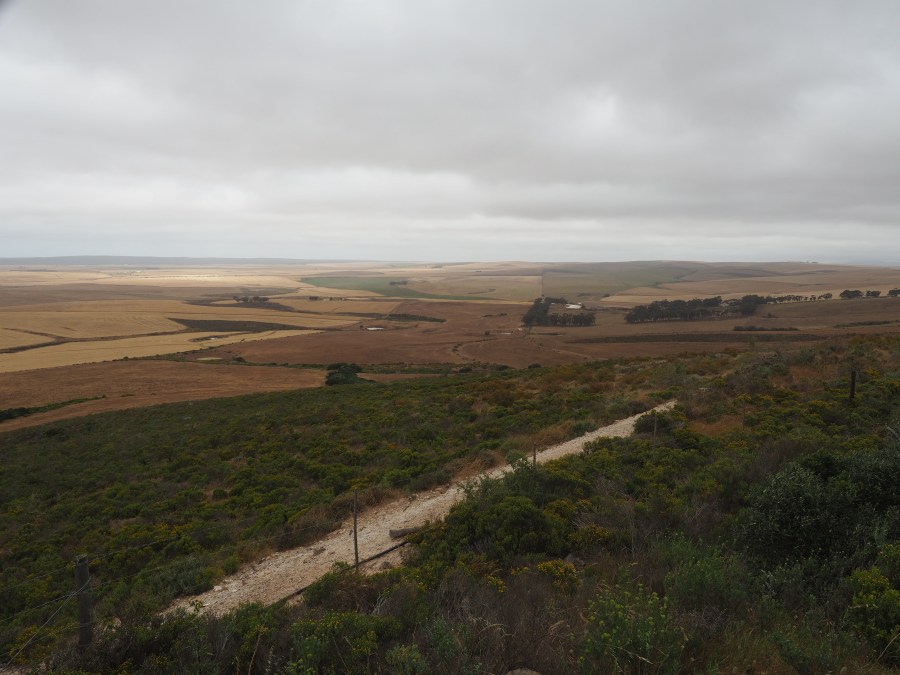 Farmen bis zum Horizont